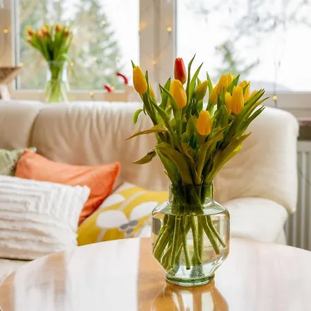 Chalet627 Feriehus Braunlage