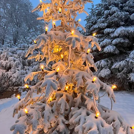 Chalet627 Feriehus *